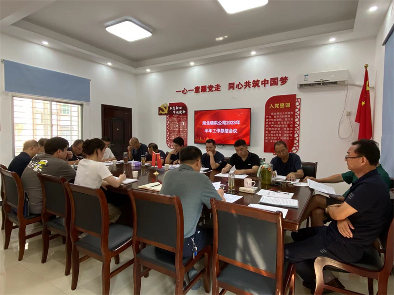 湖北太阳成集团官网公司召开2023年半年工作总结会议